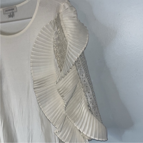 Cream colored Embellished Sleeved Top Sz Medium Accordion Ruffle Crocheted Lace - Picture 2 of 6